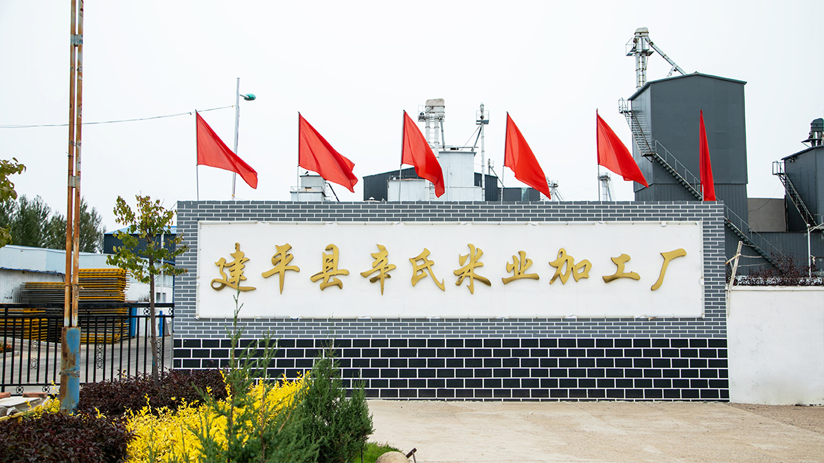 辛氏米业厂区环境