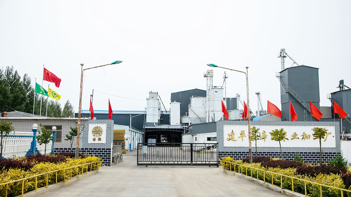 公司简介(图3)