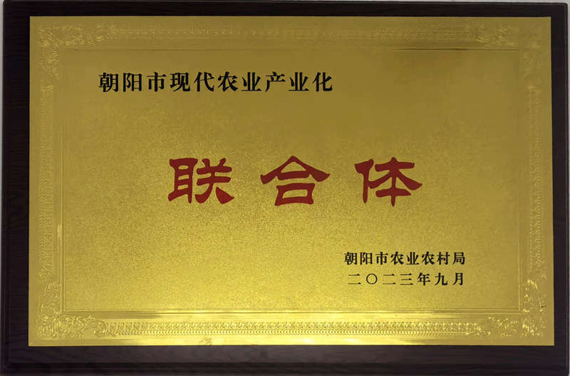 现代农业产业化联合体(图1)