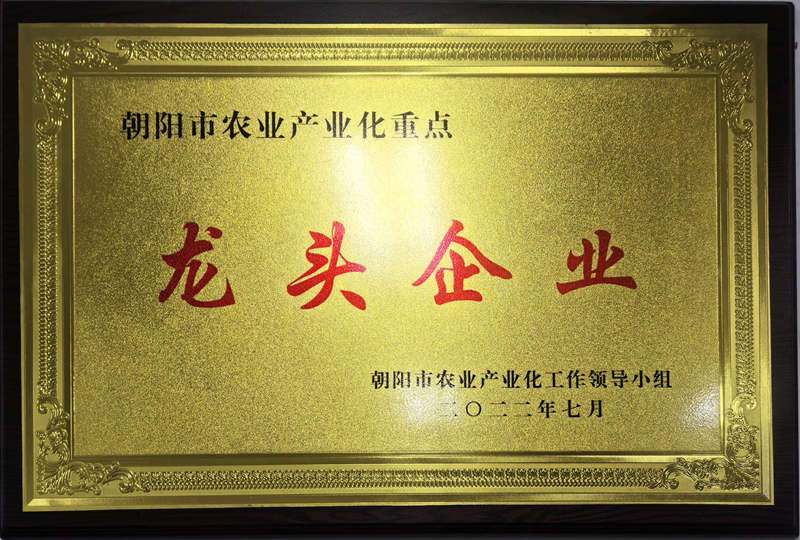 朝阳市龙头企业(图1)