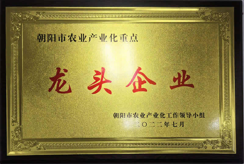 朝阳市龙头企业