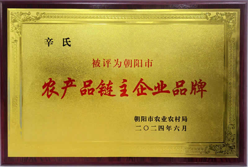 农产品链主企业品牌