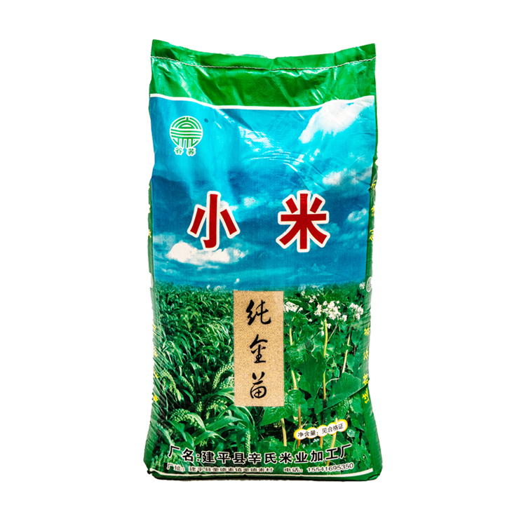 纯金苗小米