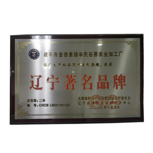 辽宁著名品牌